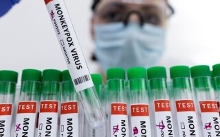 Зарегистрирован четвертый случай оспы обезьян в Пешаваре